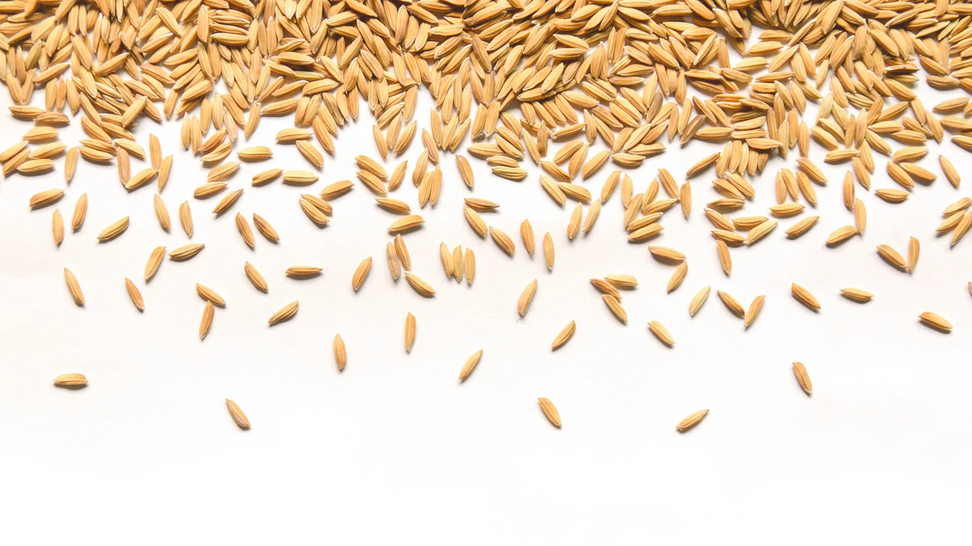 Sürdürülebilir Tarım