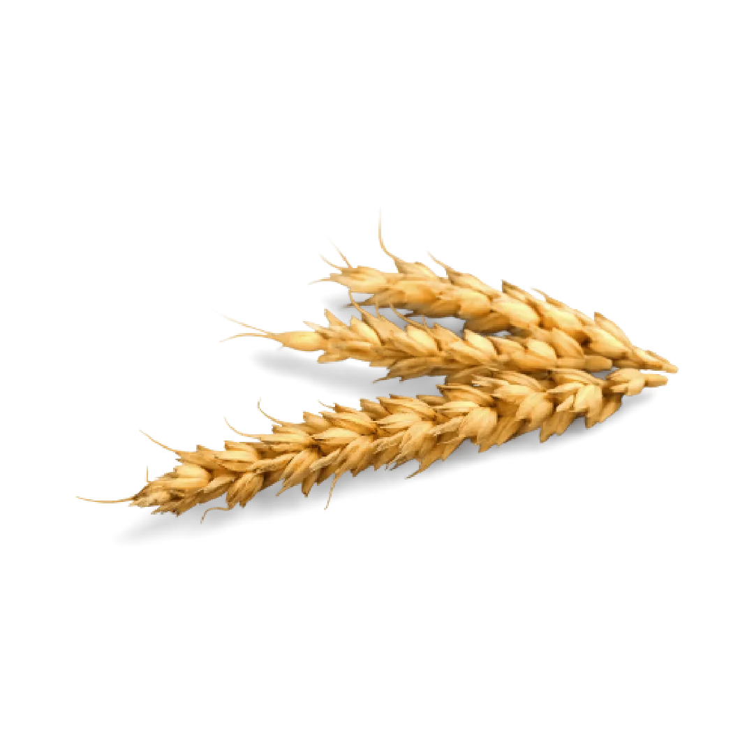 Kuzey Tarım Ürünler